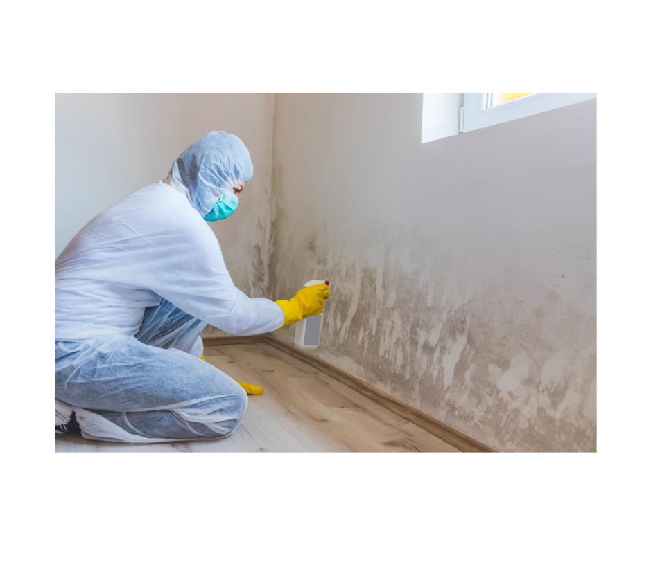 Mold Remediation on Long Island